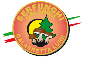 Serfunghi Calabria